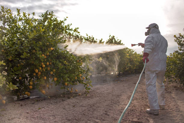 Best Cockroach Control Services  in Dalton Gardens, ID