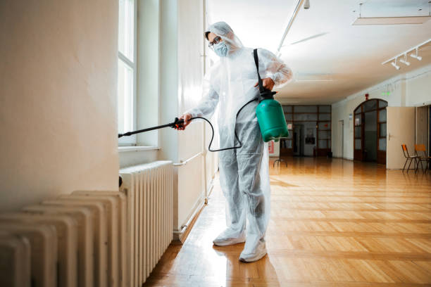  Dalton Gardens, ID Pest Control Pros
